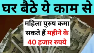 Work From Home Job: घर बैठे ये काम से महिला पुरुष कमा सकते हैं महीने के 40 हजार रुपये!